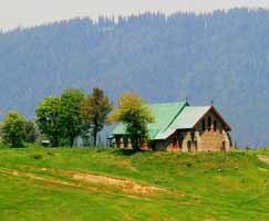 Tour To Gulmarg