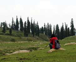 Travel To Gulmarg