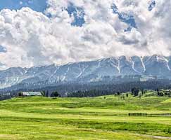 Honeymoon Tour To Gulmarg