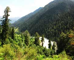 Package Tour To Gulmarg