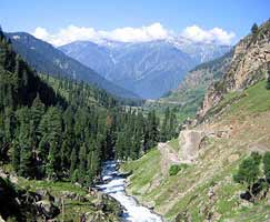 Gulmarg Travel Package