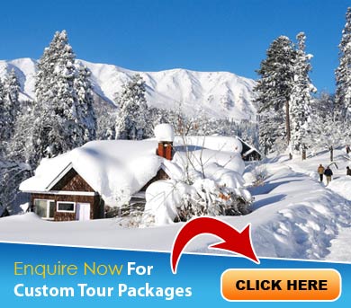 Gulmarg Tour Packages