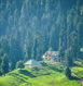 Gulmarg Tour Packages